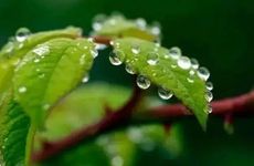 梦见矿泉水怎么回事 梦见矿泉水有什么预兆