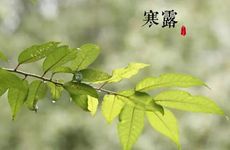 办公桌摆放什么能升职 文昌塔增旺事业运