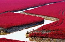 长方形的房间怎么放床和衣柜