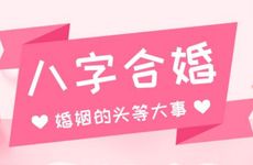 亥时出生的和丑时出生的八字合婚会相合吗