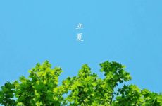 北方人2024年立夏吃什么食物 吃夏饼不病夏