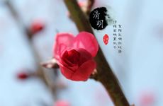 清明节的由来及传说故事