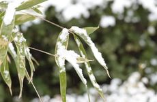 2023年6月份去北海热不热