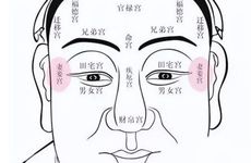 历史上十个簸箕的人物一览 十个簸箕代表什么？