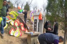 2022清明节去洛阳能看到牡丹花开吗