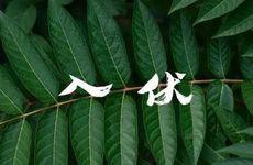 小暑节气的传统活动及饮食习俗