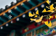 2023年今年哪天数九？哪天出九