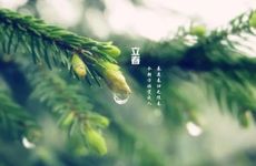 餐桌是不是不能直冲厕所门