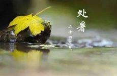 处暑节气的传统活动及饮食习俗