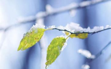 2022年小雪日子好吗 2022年小雪是农历几月几日