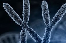 女宝宝小名洋气时尚