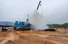 海棠树能种在院子里面吗 有什么说法