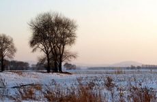 做梦梦到僵尸是什么意思 做梦梦到僵尸梦境解析