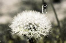 立秋民俗活动有哪些