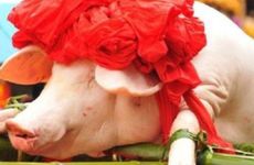 小寒节气可以洗头吗 小寒吃什么传统美食