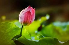 2023年处暑的习俗活动