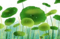 古风霸气潇洒的微信网名