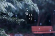 广东大寒吃什么传统食物 广东大寒吃的食物有哪些