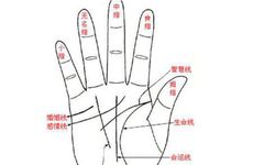 小拇指短的成功人士有哪些