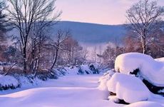 大雪节气北方吃什么 大雪怎么来补冬