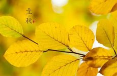 立秋节气的习俗及禁忌