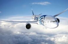 梦到猫的不同梦境表示什么