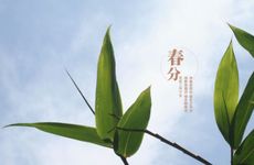 2024春分后还会有倒春寒吗