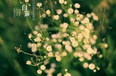 孕妇梦见已故爷爷是胎梦吗