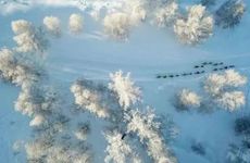 浅析冲太岁、刑太岁、害太岁、破太岁都是什么意思