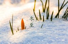 梦见掉了一撮头发是什么意思