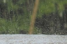 今日胎神方位 2022年12月18日农历十一月二十五