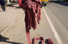 2023除夕等待天明叫什么