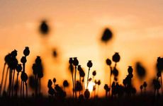 会计公司名字大全 会计服务公司名称大全