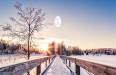 2023年冬至汤圆的做法 冬至的来历