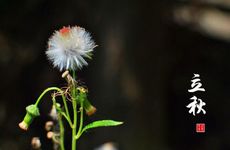 立秋节气的民俗活动及气候特点