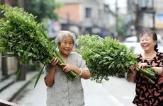 观音的摆放位置和注意事项