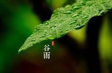 威海人民怎样过谷雨节 这天要做什么事