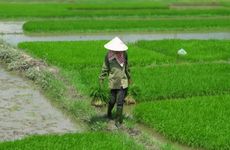 2023年春分是几月几号 春分的风俗食物