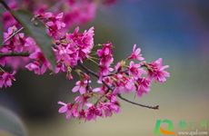 2022立春还要几天？立春时辰早晚有什么说法吗？