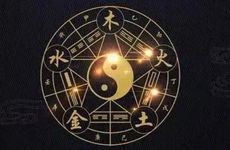 日柱己巳六十甲子 甲子日柱女命运