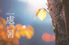 家里马桶堵了有什么办法解决 如何自己动手疏通马桶详细步骤