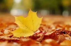 壮族三月三的风俗简介