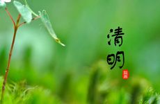 清明节的民俗活动及传统美食