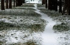 2022年大雪节气下葬好不好 大雪适合安葬吗