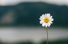 立春开始算本命年吗 今年立春有什么讲究和禁忌