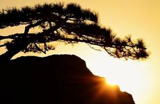 午时是几点到几点钟的属什么 午时三刻大忌讳