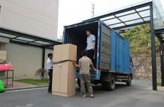 玉白菜招财摆放方法 你一定要知道