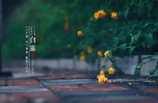 理发门市名有聚财寓意起名怎么起