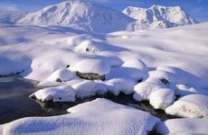 梦见胃 胃痛 胃疼是什么意思