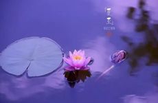 梦见心脏怎么回事 梦见心脏有什么预兆